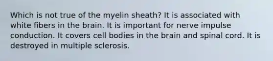 Which is not true of the myelin sheath? It is associated with white fibers in the brain. It is important for nerve impulse conduction. It covers cell bodies in the brain and spinal cord. It is destroyed in multiple sclerosis.