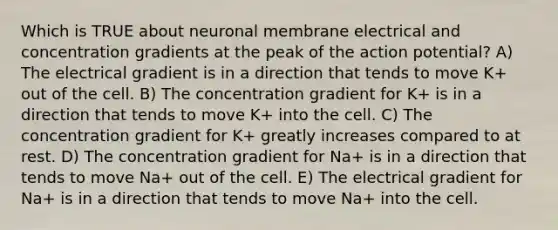 Which is TRUE about neuronal membrane electrical and concentration gradients at the peak of the action potential? A) The electrical gradient is in a direction that tends to move K+ out of the cell. B) The concentration gradient for K+ is in a direction that tends to move K+ into the cell. C) The concentration gradient for K+ greatly increases compared to at rest. D) The concentration gradient for Na+ is in a direction that tends to move Na+ out of the cell. E) The electrical gradient for Na+ is in a direction that tends to move Na+ into the cell.