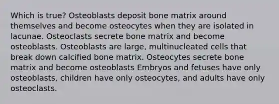 Which is true? Osteoblasts deposit bone matrix around themselves and become osteocytes when they are isolated in lacunae. Osteoclasts secrete bone matrix and become osteoblasts. Osteoblasts are large, multinucleated cells that break down calcified bone matrix. Osteocytes secrete bone matrix and become osteoblasts Embryos and fetuses have only osteoblasts, children have only osteocytes, and adults have only osteoclasts.