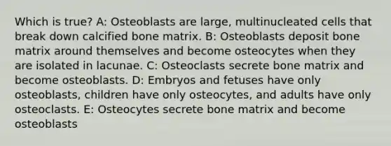 Which is true? A: Osteoblasts are large, multinucleated cells that break down calcified bone matrix. B: Osteoblasts deposit bone matrix around themselves and become osteocytes when they are isolated in lacunae. C: Osteoclasts secrete bone matrix and become osteoblasts. D: Embryos and fetuses have only osteoblasts, children have only osteocytes, and adults have only osteoclasts. E: Osteocytes secrete bone matrix and become osteoblasts