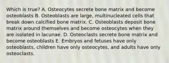 Which is true? A. Osteocytes secrete bone matrix and become osteoblasts B. Osteoblasts are large, multinucleated cells that break down calcified bone matrix. C. Osteoblasts deposit bone matrix around themselves and become osteocytes when they are isolated in lacunae. D. Osteoclasts secrete bone matrix and become osteoblasts E. Embryos and fetuses have only osteoblasts, children have only osteocytes, and adults have only osteoclasts.