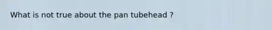 What is not true about the pan tubehead ?