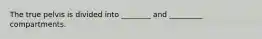 The true pelvis is divided into ________ and _________ compartments.