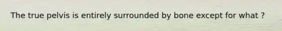 The true pelvis is entirely surrounded by bone except for what ?