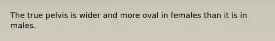 The true pelvis is wider and more oval in females than it is in males.