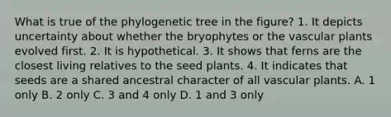 What is true of the phylogenetic tree in the figure? 1. It depicts uncertainty about whether the bryophytes or the vascular plants evolved first. 2. It is hypothetical. 3. It shows that ferns are the closest living relatives to the seed plants. 4. It indicates that seeds are a shared ancestral character of all vascular plants. A. 1 only B. 2 only C. 3 and 4 only D. 1 and 3 only