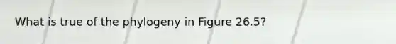 What is true of the phylogeny in Figure 26.5?