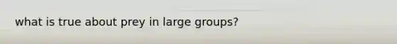 what is true about prey in large groups?