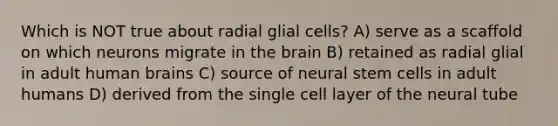 Which is NOT true about radial glial cells? A) serve as a scaffold on which neurons migrate in the brain B) retained as radial glial in adult human brains C) source of neural stem cells in adult humans D) derived from the single cell layer of the neural tube