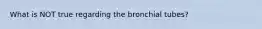 What is NOT true regarding the bronchial tubes?