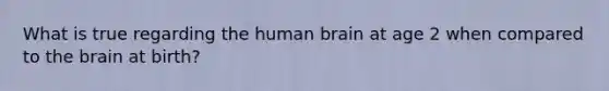 What is true regarding the human brain at age 2 when compared to the brain at birth?