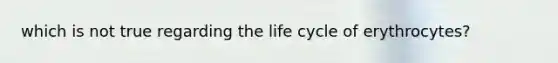 which is not true regarding the life cycle of erythrocytes?