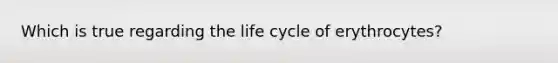 Which is true regarding the life cycle of erythrocytes?