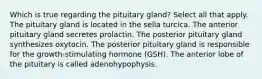 Which is true regarding the pituitary gland? Select all that apply. The pituitary gland is located in the sella turcica. The anterior pituitary gland secretes prolactin. The posterior pituitary gland synthesizes oxytocin. The posterior pituitary gland is responsible for the growth-stimulating hormone (GSH). The anterior lobe of the pituitary is called adenohypophysis.