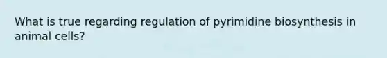 What is true regarding regulation of pyrimidine biosynthesis in animal cells?