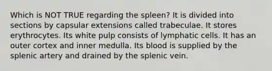 Which is NOT TRUE regarding the spleen? It is divided into sections by capsular extensions called trabeculae. It stores erythrocytes. Its white pulp consists of lymphatic cells. It has an outer cortex and inner medulla. Its blood is supplied by the splenic artery and drained by the splenic vein.