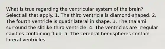 What is true regarding the ventricular system of the brain? Select all that apply. 1. The third ventricle is diamond-shaped. 2. The fourth ventricle is quadrilateral in shape. 3. The thalami surround the slitlike third ventricle. 4. The ventricles are irregular cavities containing fluid. 5. The cerebral hemispheres contain lateral ventricles.