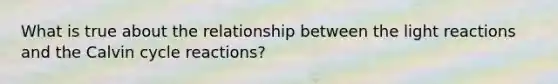 What is true about the relationship between the light reactions and the Calvin cycle reactions?