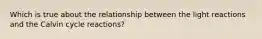 Which is true about the relationship between the light reactions and the Calvin cycle reactions?