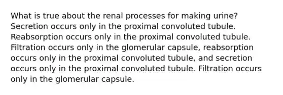 What is true about the renal processes for making urine? Secretion occurs only in the proximal convoluted tubule. Reabsorption occurs only in the proximal convoluted tubule. Filtration occurs only in the glomerular capsule, reabsorption occurs only in the proximal convoluted tubule, and secretion occurs only in the proximal convoluted tubule. Filtration occurs only in the glomerular capsule.