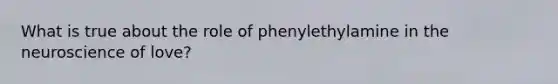 What is true about the role of phenylethylamine in the neuroscience of love?