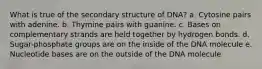 What is true of the secondary structure of DNA? a. Cytosine pairs with adenine. b. Thymine pairs with guanine. c. Bases on complementary strands are held together by hydrogen bonds. d. Sugar-phosphate groups are on the inside of the DNA molecule e. Nucleotide bases are on the outside of the DNA molecule