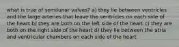 what is true of semilunar valves? a) they lie between ventricles and the large arteries that leave the ventricles on each side of the heart b) they are both on the left side of the heart c) they are both on the right side of the heart d) they lie between the atria and ventricular chambers on each side of the heart