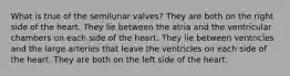 What is true of the semilunar valves? They are both on the right side of the heart. They lie between the atria and the ventricular chambers on each side of the heart. They lie between ventricles and the large arteries that leave the ventricles on each side of the heart. They are both on the left side of the heart.