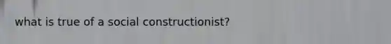 what is true of a social constructionist?