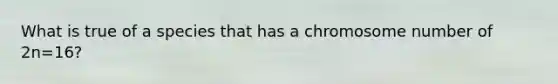 What is true of a species that has a chromosome number of 2n=16?