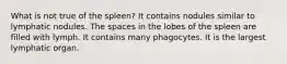 What is not true of the spleen? It contains nodules similar to lymphatic nodules. The spaces in the lobes of the spleen are filled with lymph. It contains many phagocytes. It is the largest lymphatic organ.