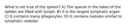 What is not true of the spleen? A) The spaces in the lobes of the spleen are filled with lymph. B) It is the largest lymphatic organ. C) It contains many phagocytes. D) It contains nodules similar to lymphatic nodules.