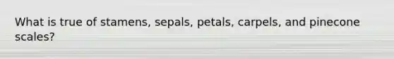 What is true of stamens, sepals, petals, carpels, and pinecone scales?