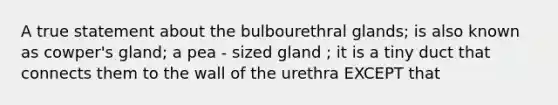 A true statement about the bulbourethral glands; is also known as cowper's gland; a pea - sized gland ; it is a tiny duct that connects them to the wall of the urethra EXCEPT that