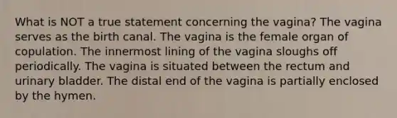 What is NOT a true statement concerning the vagina? The vagina serves as the birth canal. The vagina is the female organ of copulation. The innermost lining of the vagina sloughs off periodically. The vagina is situated between the rectum and urinary bladder. The distal end of the vagina is partially enclosed by the hymen.