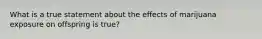 What is a true statement about the effects of marijuana exposure on offspring is true?