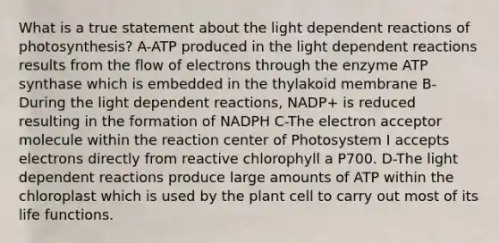 What is a true statement about the light dependent reactions of photosynthesis? A-ATP produced in the light dependent reactions results from the flow of electrons through the enzyme ATP synthase which is embedded in the thylakoid membrane B-During the light dependent reactions, NADP+ is reduced resulting in the formation of NADPH C-The electron acceptor molecule within the reaction center of Photosystem I accepts electrons directly from reactive chlorophyll a P700. D-The light dependent reactions produce large amounts of ATP within the chloroplast which is used by the plant cell to carry out most of its life functions.