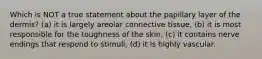 Which is NOT a true statement about the papillary layer of the dermis? (a) it is largely areolar connective tissue, (b) it is most responsible for the toughness of the skin, (c) it contains nerve endings that respond to stimuli, (d) it is highly vascular.