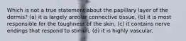 Which is not a true statement about the papillary layer of the dermis? (a) it is largely areolar connective tissue, (b) it is most responsible for the toughness of the skin, (c) it contains nerve endings that respond to stimuli, (d) it is highly vascular.