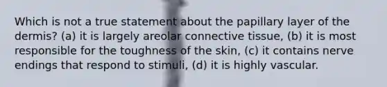 Which is not a true statement about the papillary layer of <a href='https://www.questionai.com/knowledge/kEsXbG6AwS-the-dermis' class='anchor-knowledge'>the dermis</a>? (a) it is largely areolar <a href='https://www.questionai.com/knowledge/kYDr0DHyc8-connective-tissue' class='anchor-knowledge'>connective tissue</a>, (b) it is most responsible for the toughness of the skin, (c) it contains nerve endings that respond to stimuli, (d) it is highly vascular.