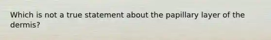 Which is not a true statement about the papillary layer of the dermis?