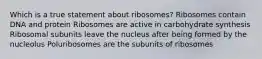 Which is a true statement about ribosomes? Ribosomes contain DNA and protein Ribosomes are active in carbohydrate synthesis Ribosomal subunits leave the nucleus after being formed by the nucleolus Poluribosomes are the subunits of ribosomes