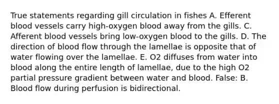 True statements regarding gill circulation in fishes A. Efferent <a href='https://www.questionai.com/knowledge/kZJ3mNKN7P-blood-vessels' class='anchor-knowledge'>blood vessels</a> carry high-oxygen blood away from the gills. C. Afferent blood vessels bring low-oxygen blood to the gills. D. The direction of blood flow through the lamellae is opposite that of water flowing over the lamellae. E. O2 diffuses from water into blood along the entire length of lamellae, due to the high O2 partial pressure gradient between water and blood. False: B. Blood flow during perfusion is bidirectional.