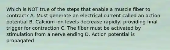 Which is NOT true of the steps that enable a muscle fiber to contract? A. Must generate an electrical current called an action potential B. Calcium ion levels decrease rapidly, providing final trigger for contraction C. The fiber must be activated by stimulation from a nerve ending D. Action potential is propagated