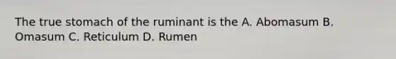 The true stomach of the ruminant is the A. Abomasum B. Omasum C. Reticulum D. Rumen