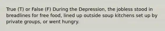 True (T) or False (F) During the Depression, the jobless stood in breadlines for free food, lined up outside soup kitchens set up by private groups, or went hungry.