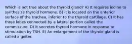 Which is not true about the thyroid gland? A) It requires iodine to synthesize thyroid hormone. B) It is located on the anterior surface of the trachea, inferior to the thyroid cartilage. C) It has three lobes connected by a lateral portion called the commissure. D) It secretes thyroid hormone in response to stimulation by TSH. E) An enlargement of the thyroid gland is called a goiter.