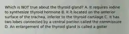 Which is NOT true about the thyroid gland? A. It requires iodine to synthesize thyroid hormone B. It it located on the anterior surface of the trachea, inferior to the thyroid cartilage C. It has two lobes connected by a central portion called the commissure D. An enlargement of the thyroid gland is called a goiter