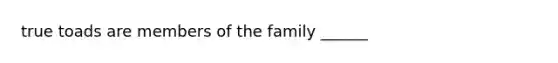 true toads are members of the family ______