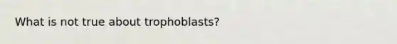 What is not true about trophoblasts?